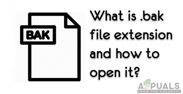 Что такое: расширение файла «.bak» и как его открыть?